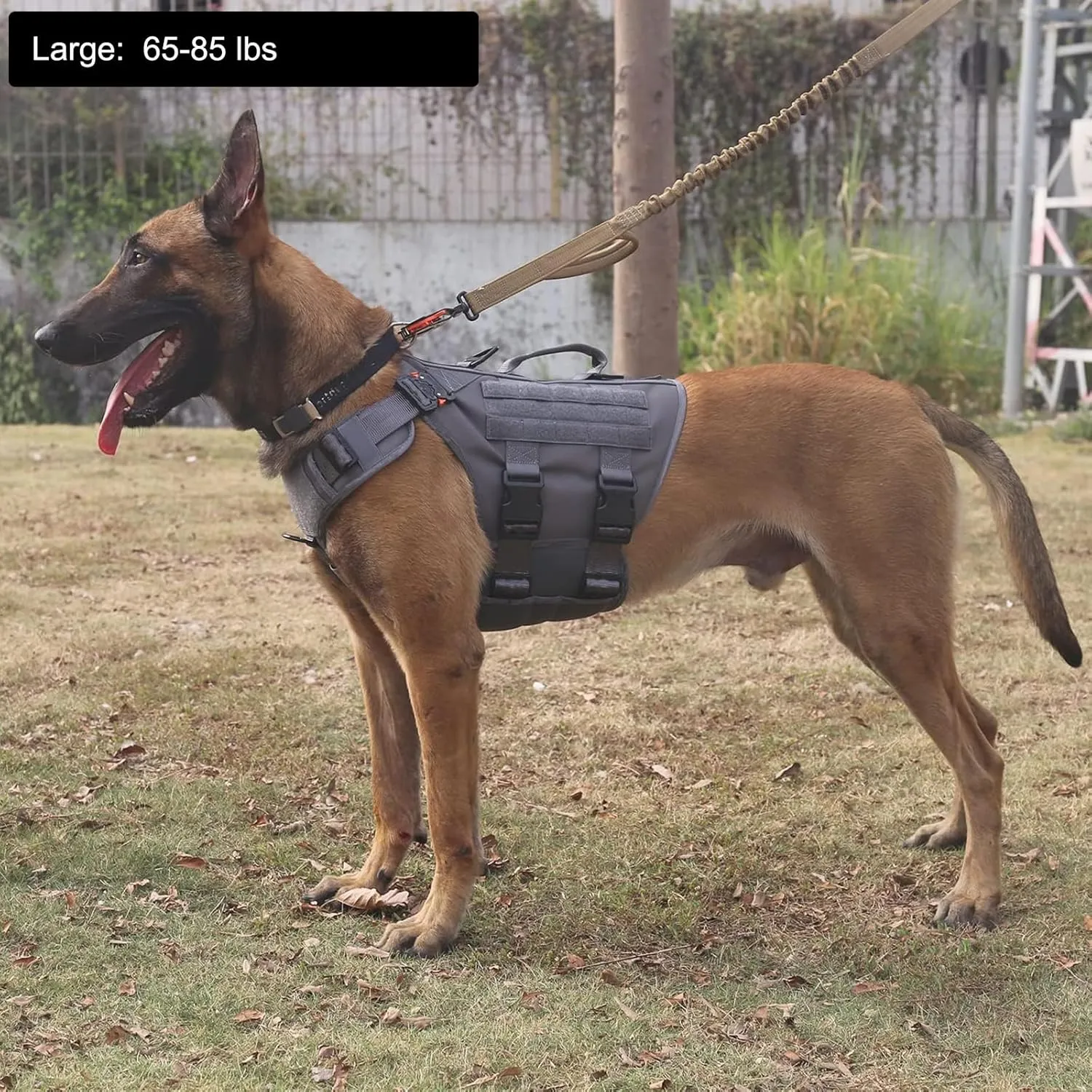 ICEFANG GN3 Tactical Dog Harness with 6X Buckle,Dog Molle Vest with Handle,3/4 Body Coverage,Hook and Loop Panel for ID Patch,No Pulling Front Clip (L (28"-35" Girth), Wolf Gray)