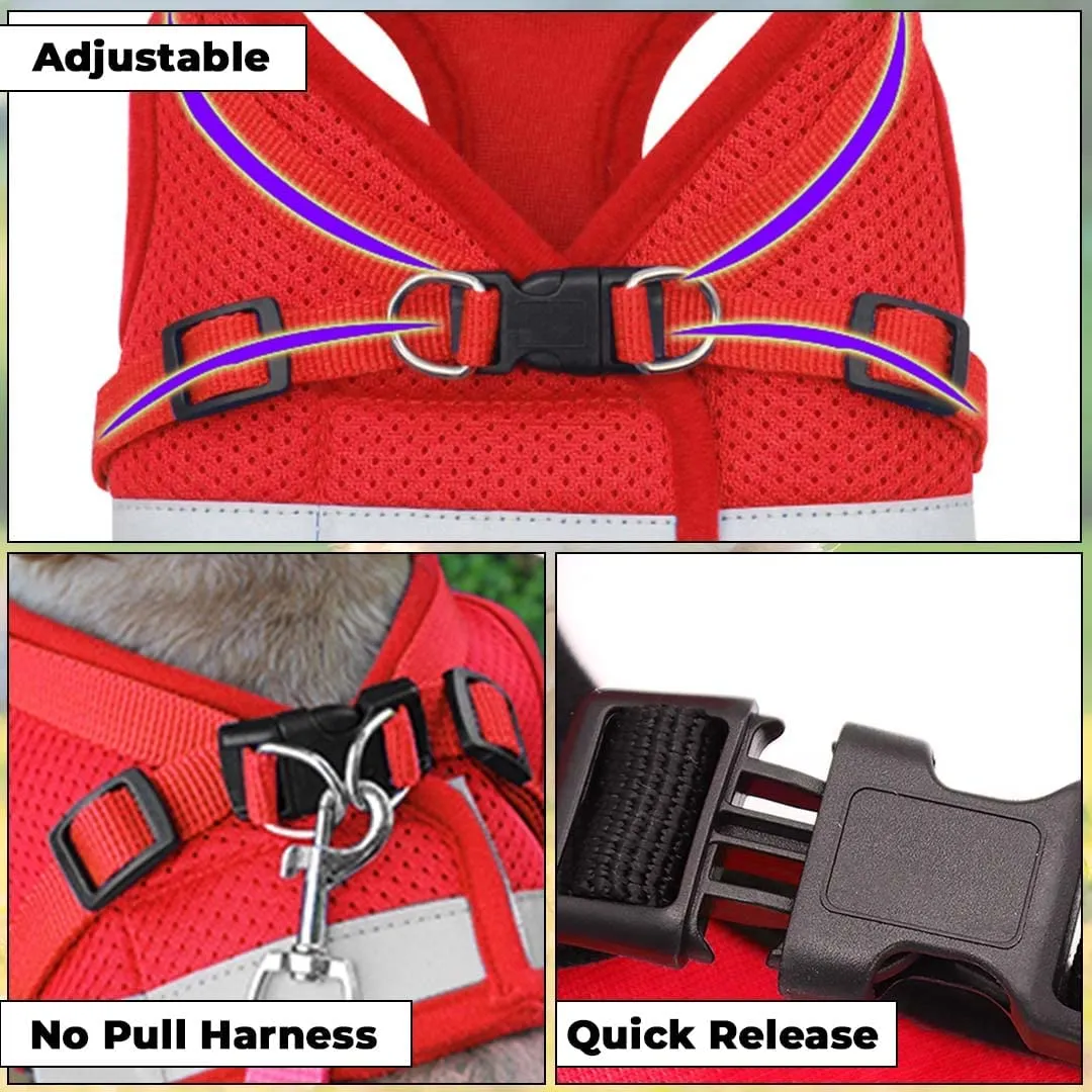 Kuber Industries Reflective Dog Harness With Adjustable Leash|Breathable Polyester Mesh Fabric |Small Size|HT-844|Comfortable No-Pull Grip|QuickRelease Buckles|Easy On-Easy Off Harness|Red (Pack Of 5)
