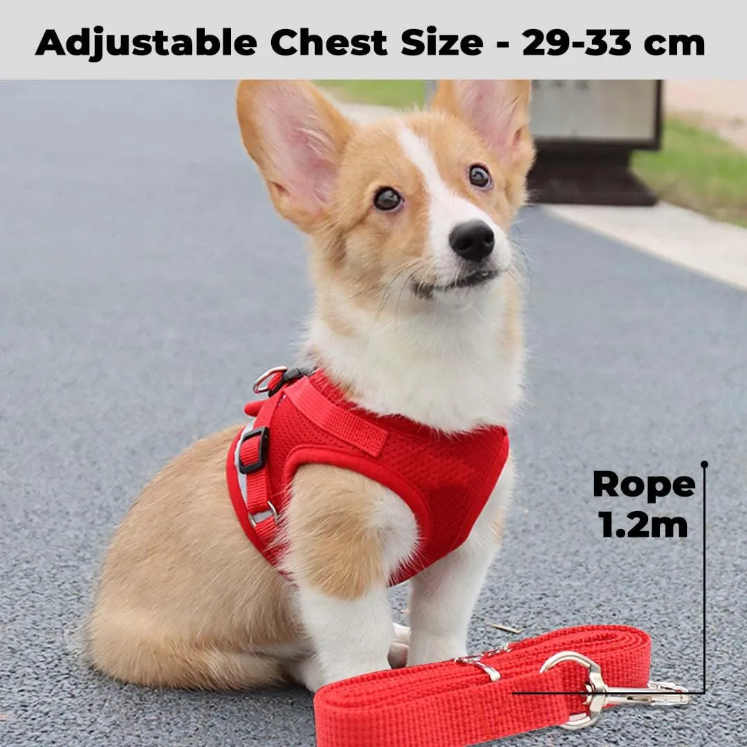 Kuber Industries Reflective Dog Harness With Adjustable Leash|Breathable Polyester Mesh Fabric |Small Size|HT-844|Comfortable No-Pull Grip|QuickRelease Buckles|Easy On-Easy Off Harness|Red (Pack Of 5)