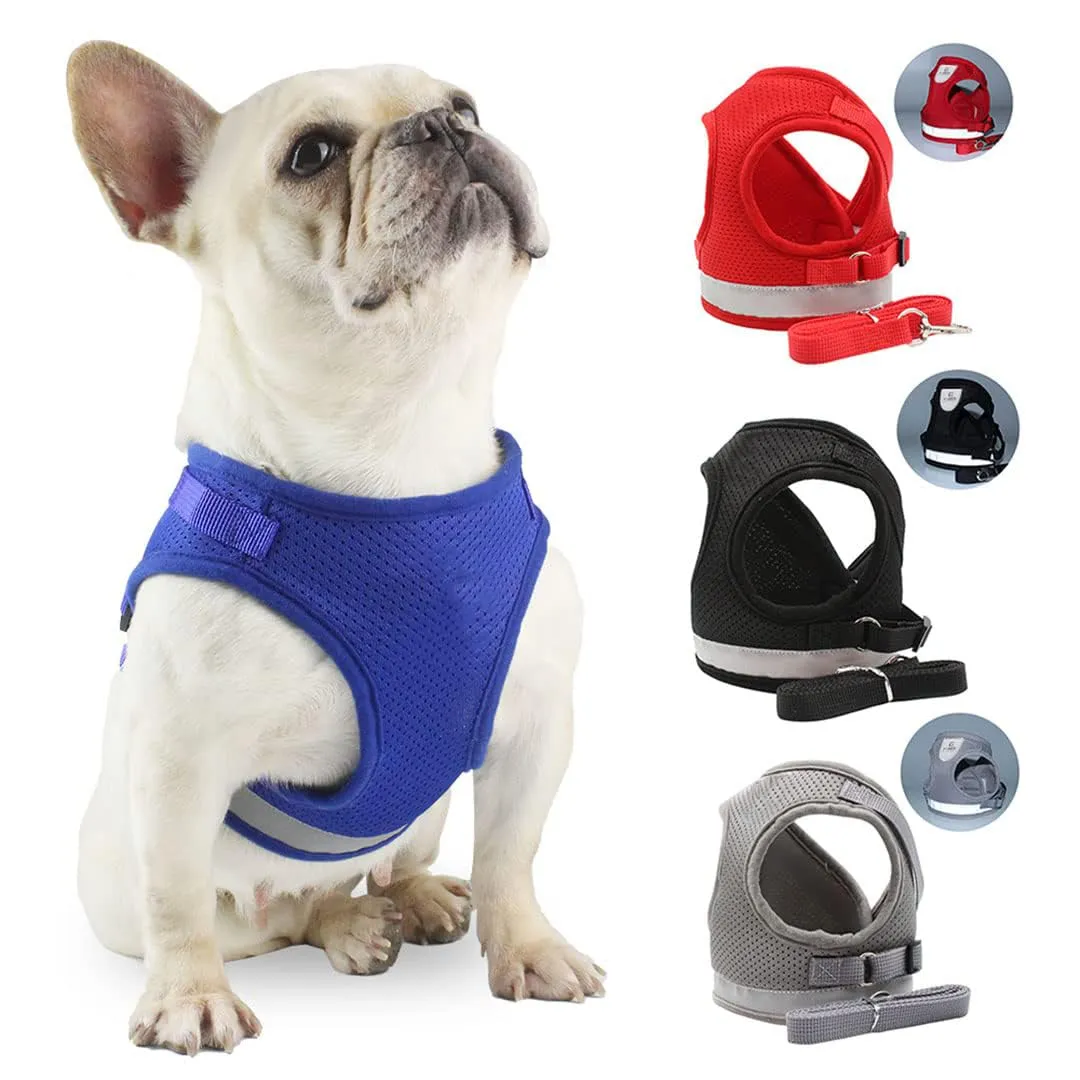 Kuber Industries Reflective Dog Harness With Adjustable Leash|Breathable Polyester Mesh Fabric |Small Size|HT-844|Comfortable No-Pull Grip|QuickRelease Buckles|Easy On-Easy Off Harness|Red (Pack Of 5)