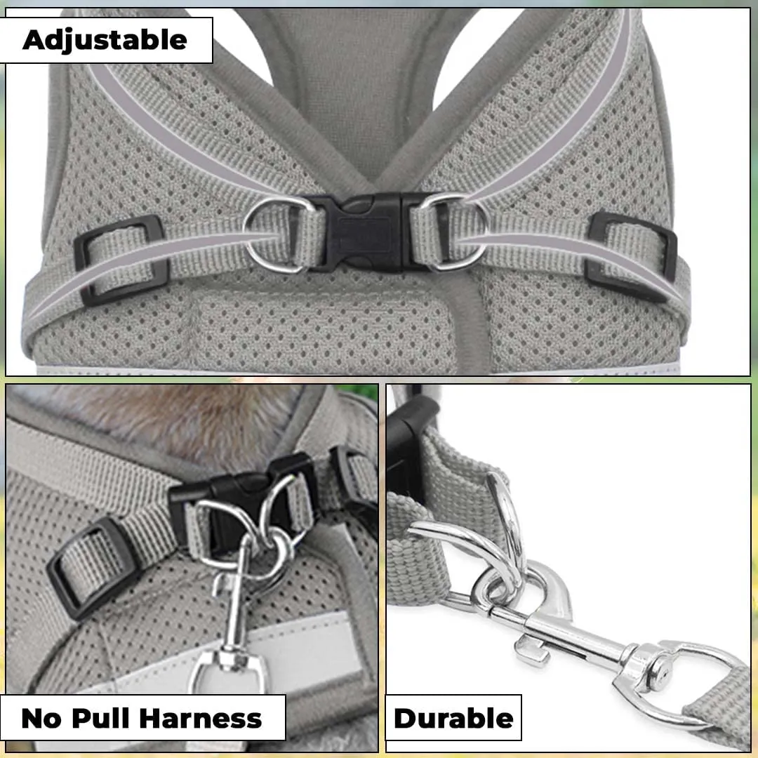 Kuber Industries Reflective Dog Harness With Adjustable Leash|Breathable Polyester Mesh Fabric |XL Size|HT-844|Comfortable No-Pull Grip|QuickRelease Buckles|Easy On - Easy Off Harness|Grey (Pack Of 2)