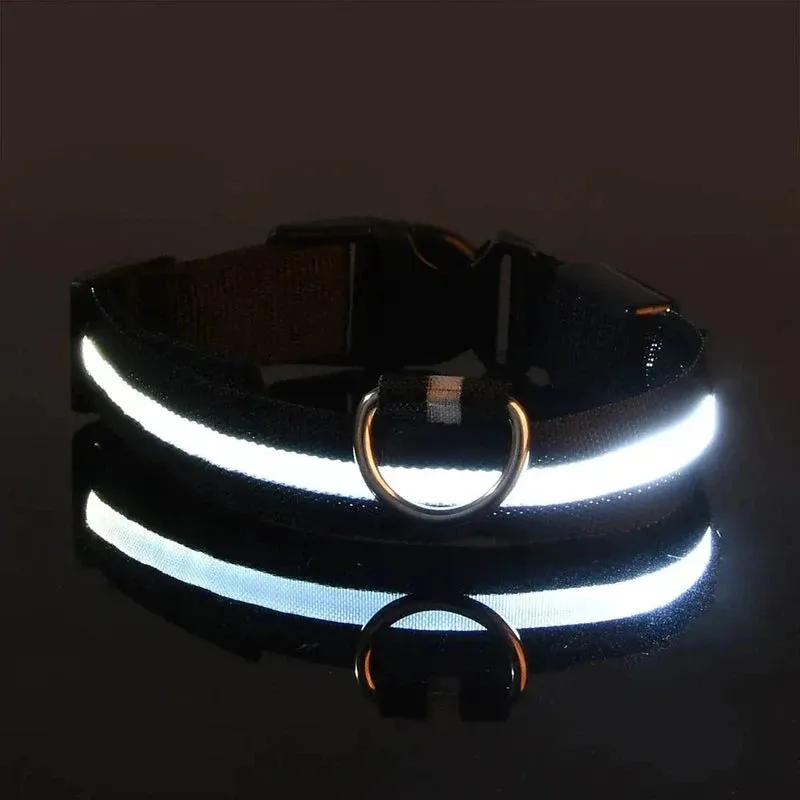 LED Glow Dog Collar