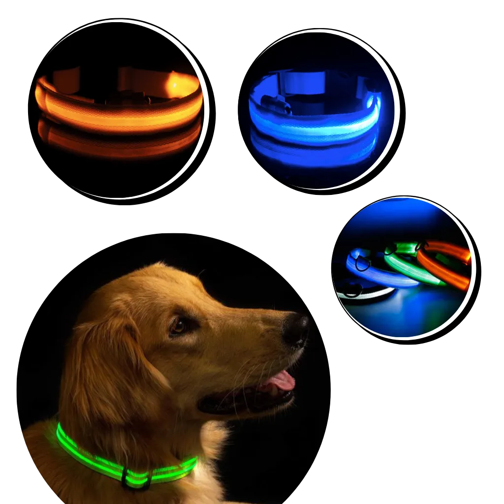 LED light pet collar