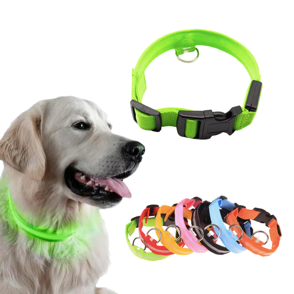 LED light pet collar