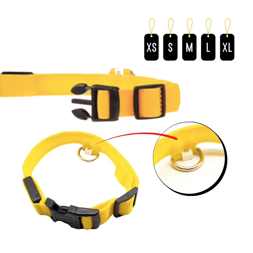 LED light pet collar