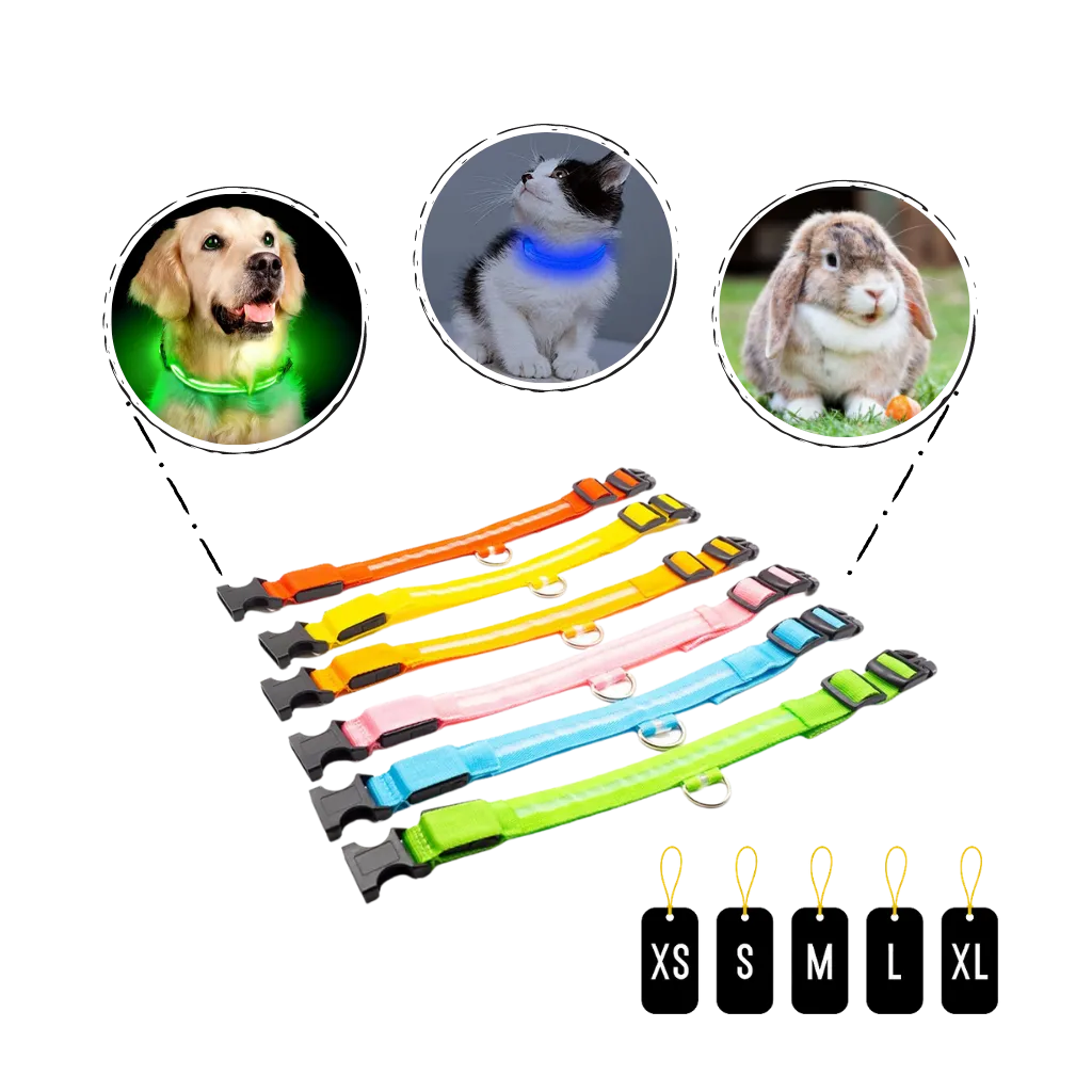 LED light pet collar