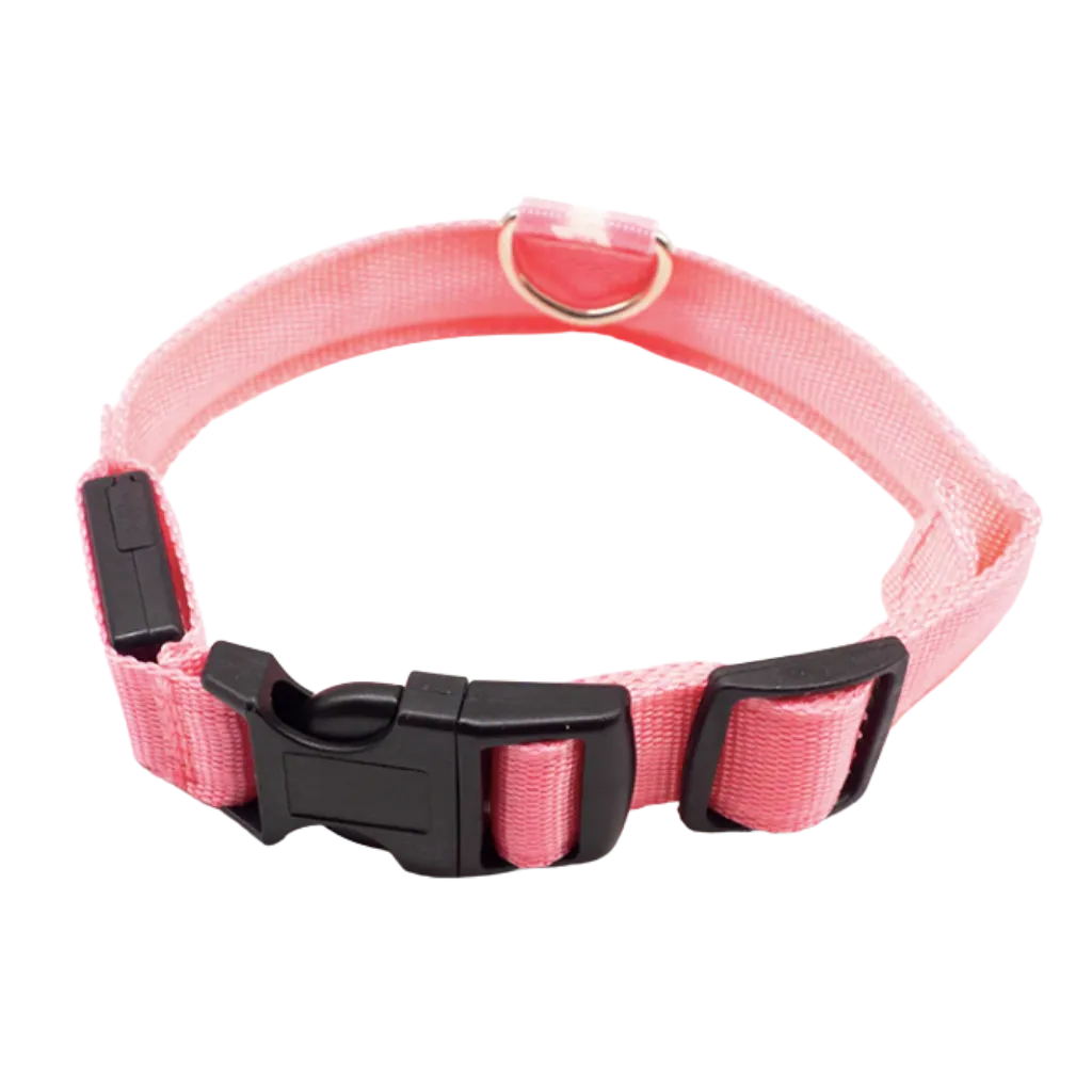 LED light pet collar