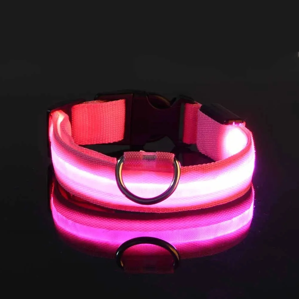 LED Night Collar