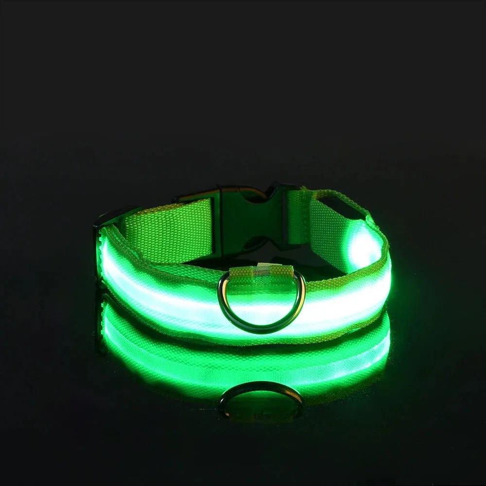 LED Night Collar