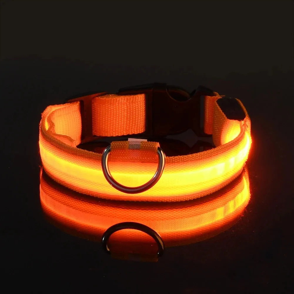 LED Night Collar