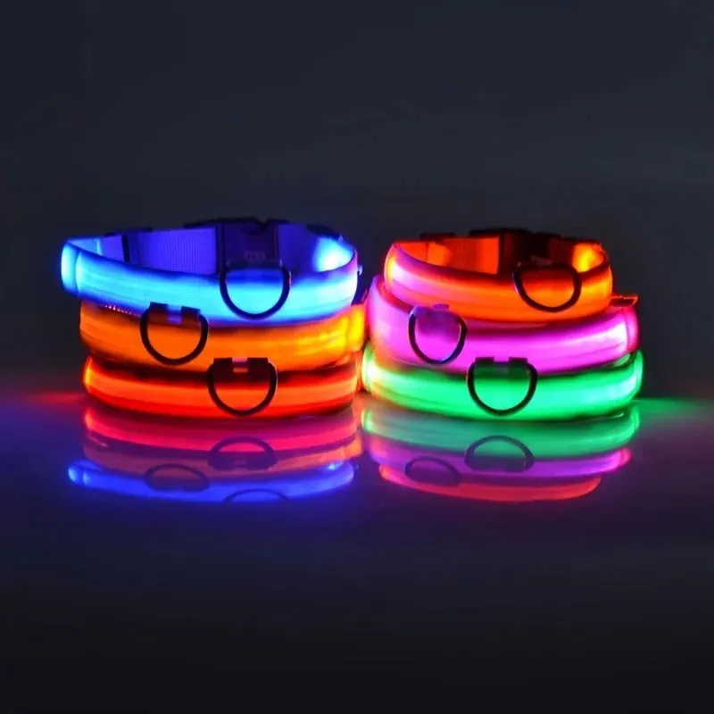 LED Night Collar