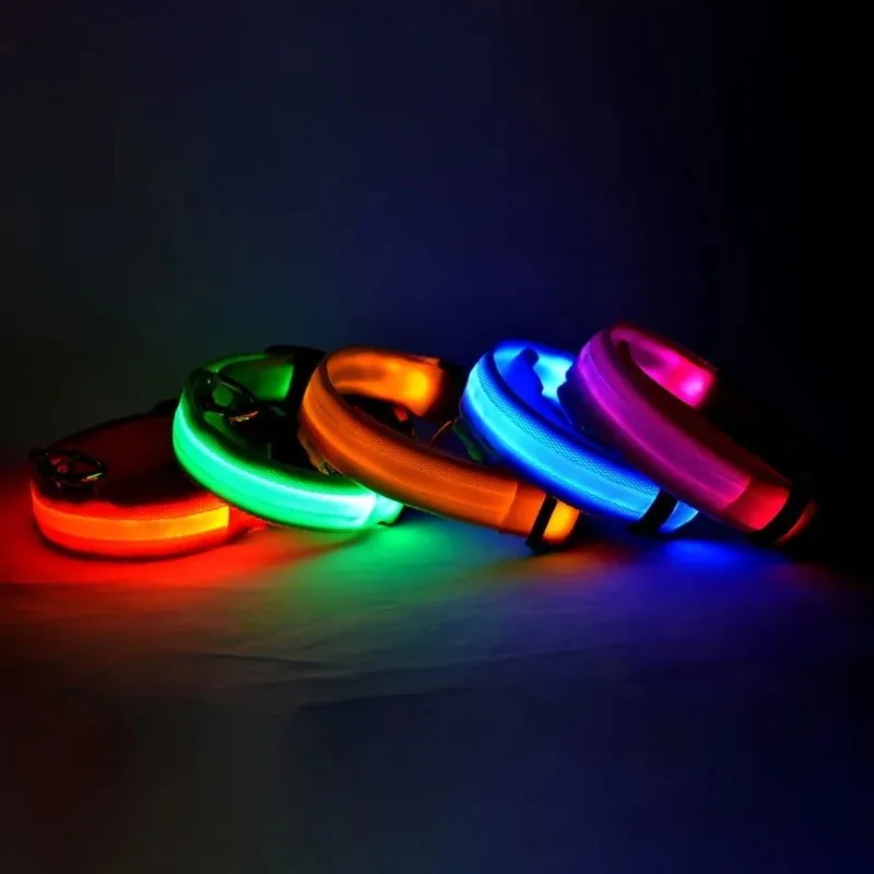 LED Night Collar