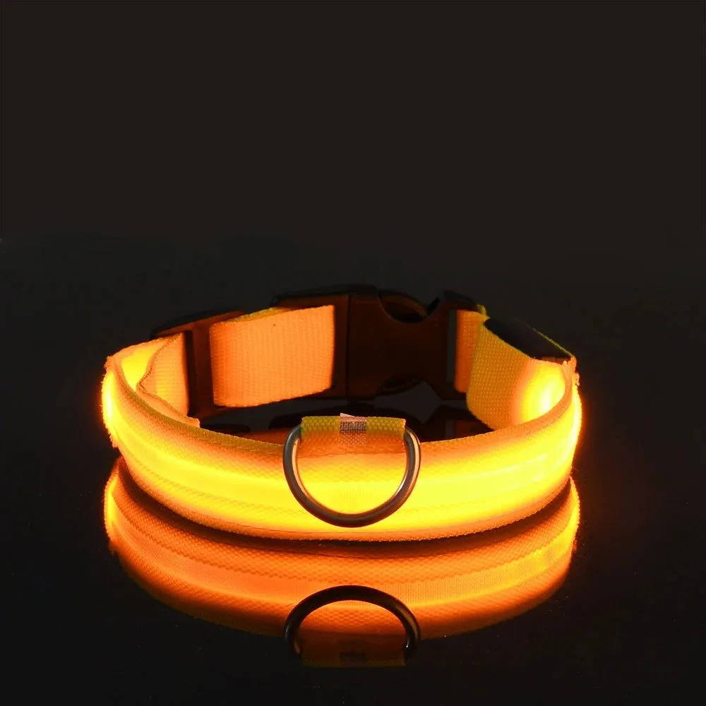 LED Night Collar