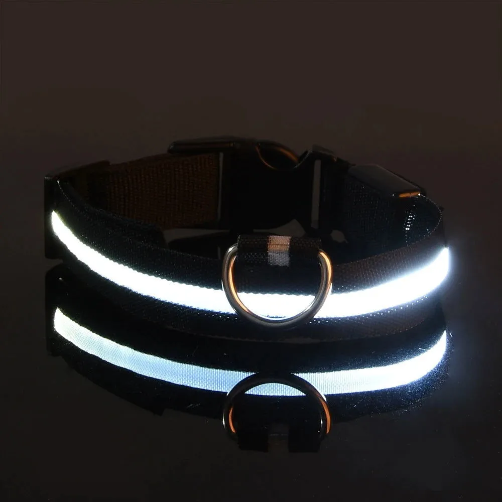 LED Night Collar