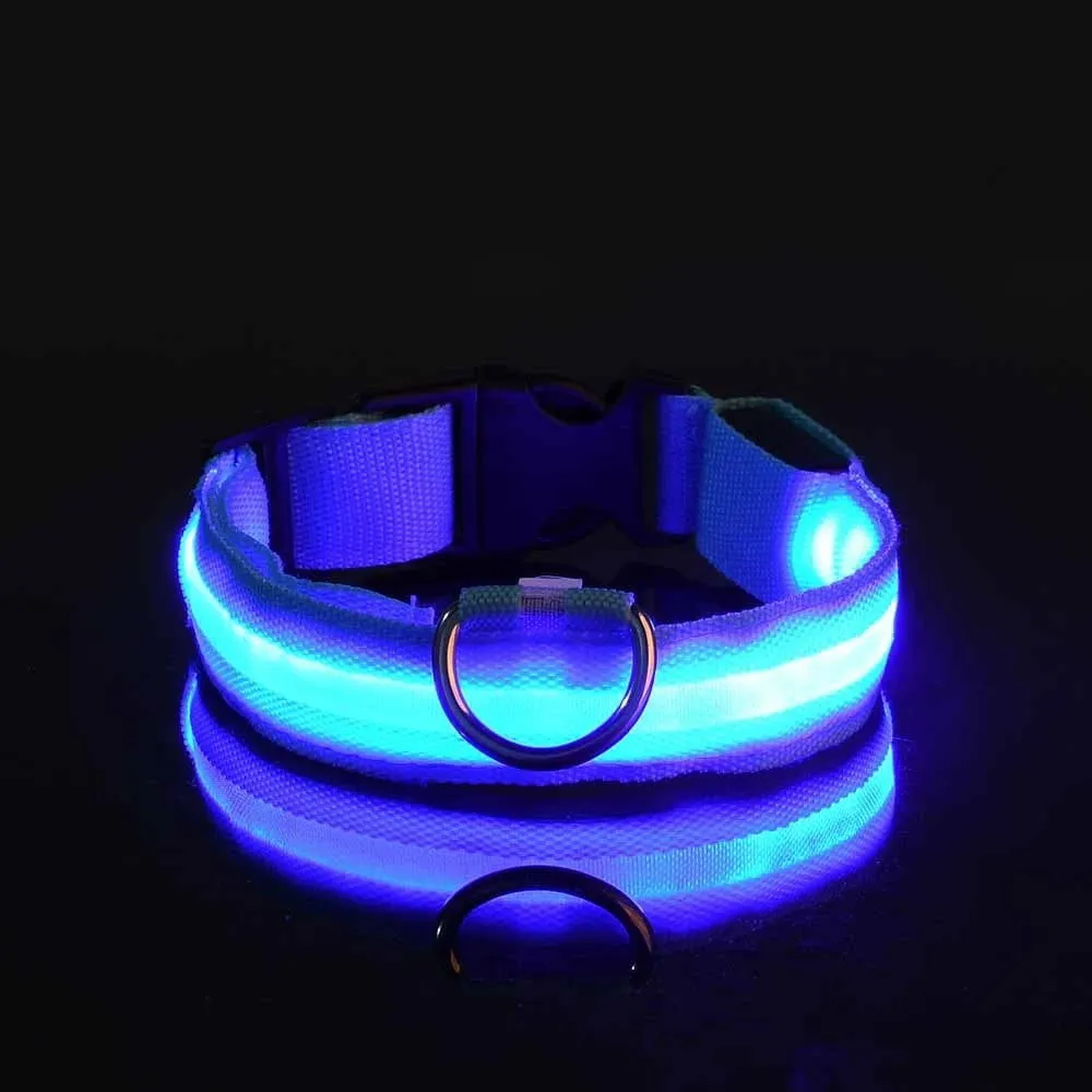 LED Night Collar