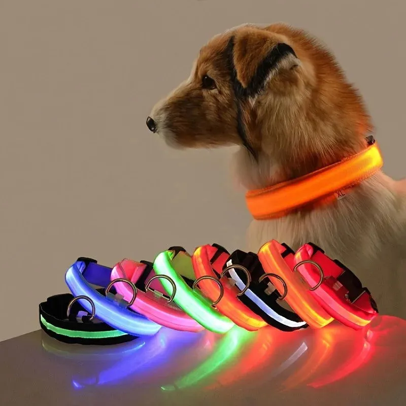 LED Night Collar