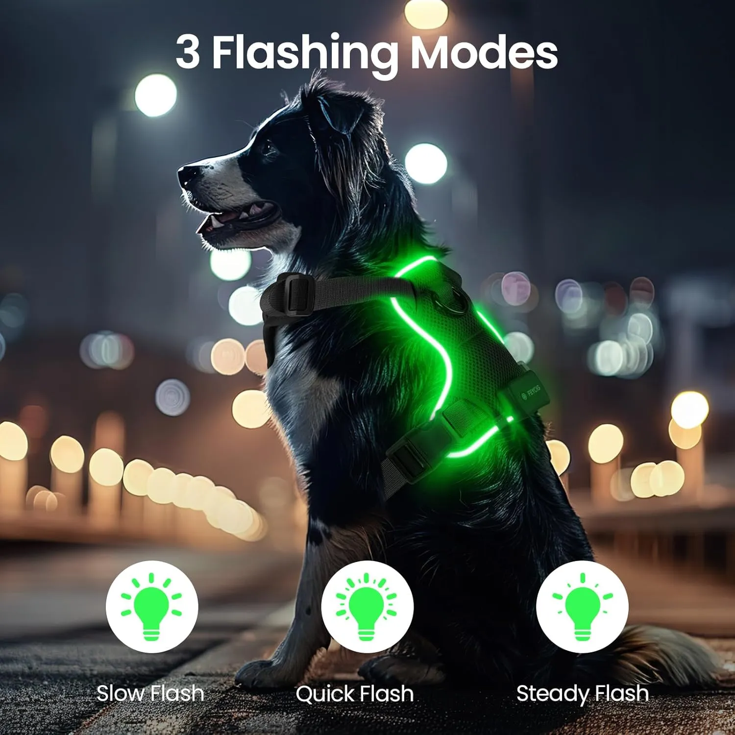 Light Up Dog Harness,No Pull Led Dog Harness Rechargeable, Reflective Lighted Safety Vest for Small Medium Large Dogs,High Visibility,4 Point Adjustable,Breathable Soft Mesh,Black,S