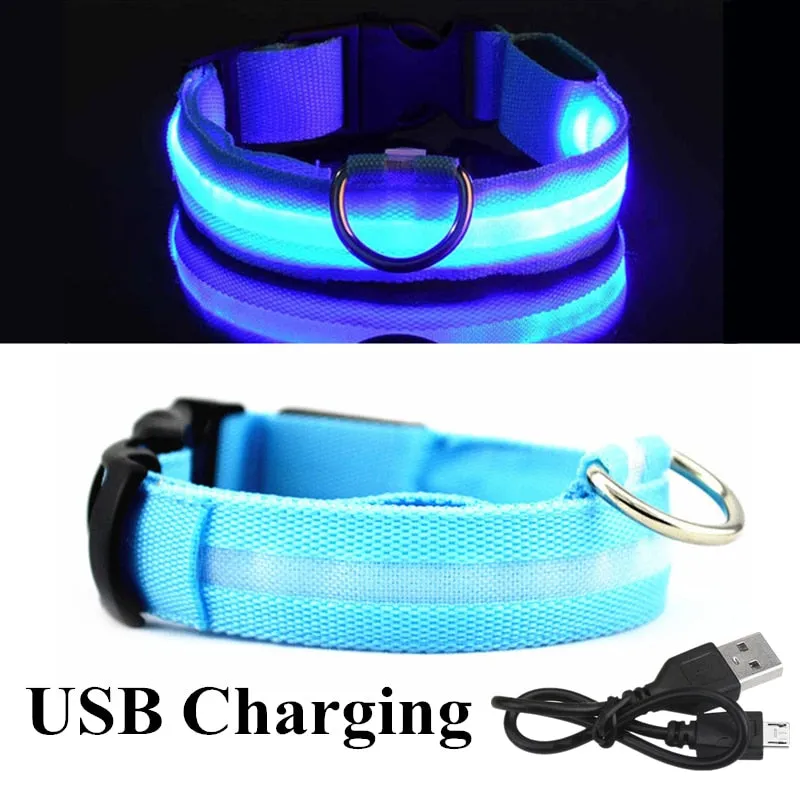 Luminous LED Pet Collar
