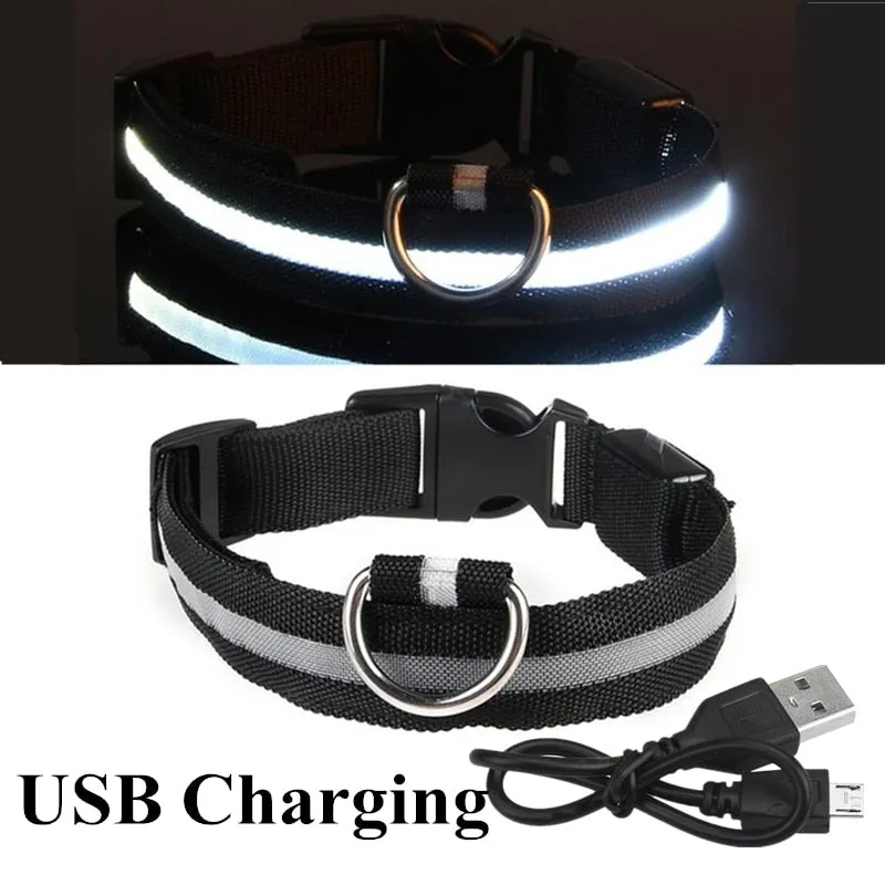 Luminous LED Pet Collar