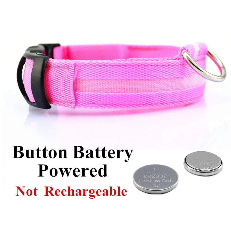 Luminous LED Pet Collar