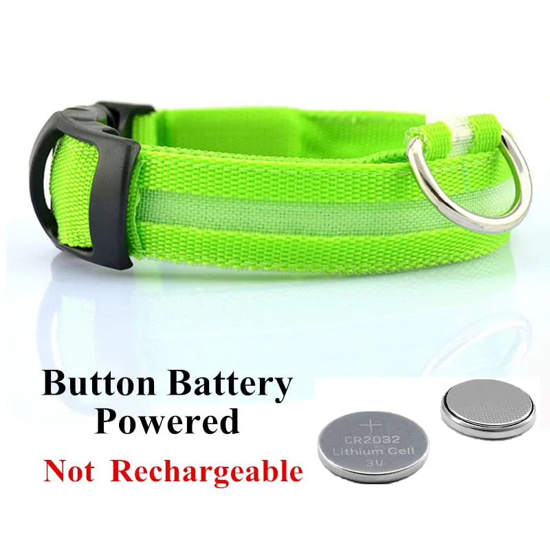 Luminous LED Pet Collar