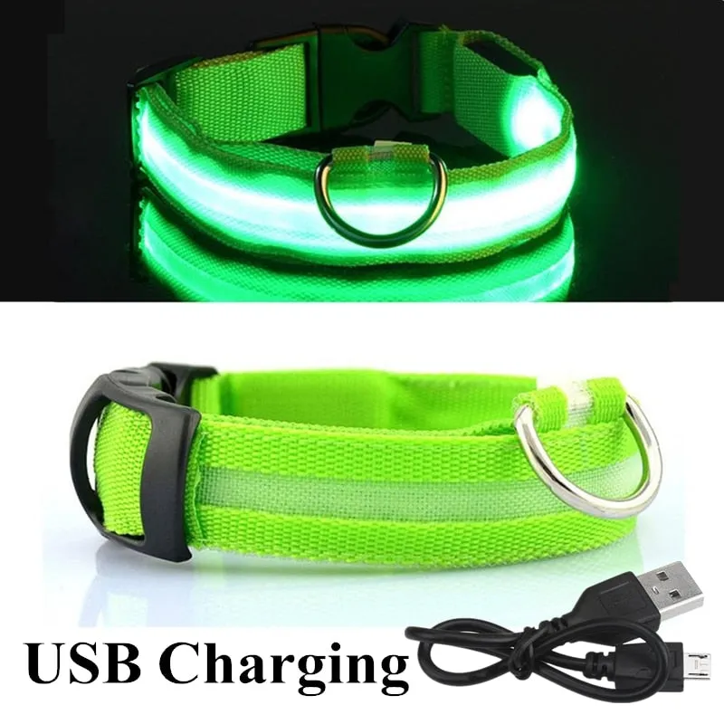 Luminous LED Pet Collar