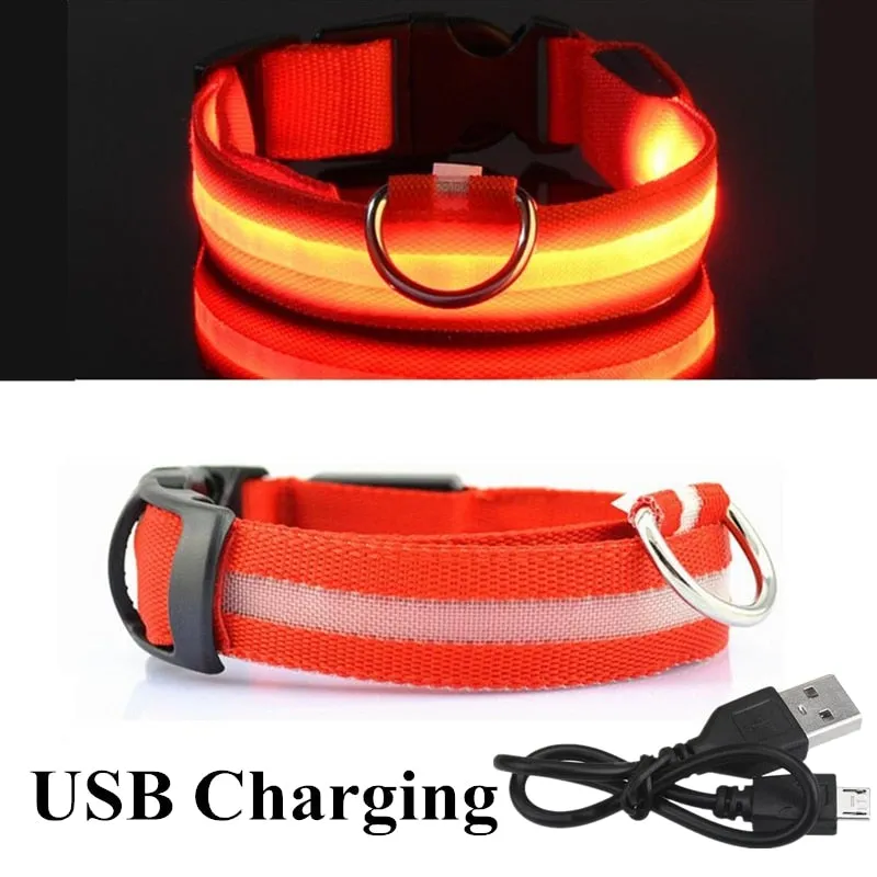 Luminous LED Pet Collar