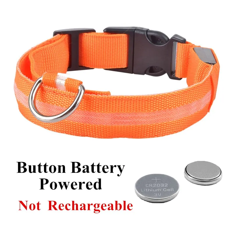 Luminous LED Pet Collar