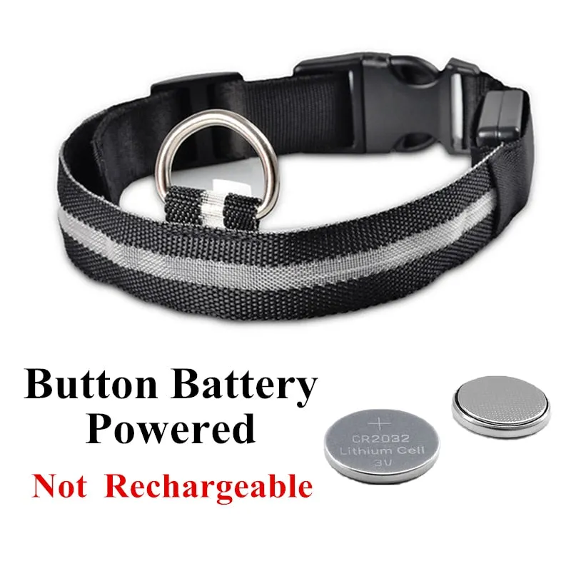 Luminous LED Pet Collar