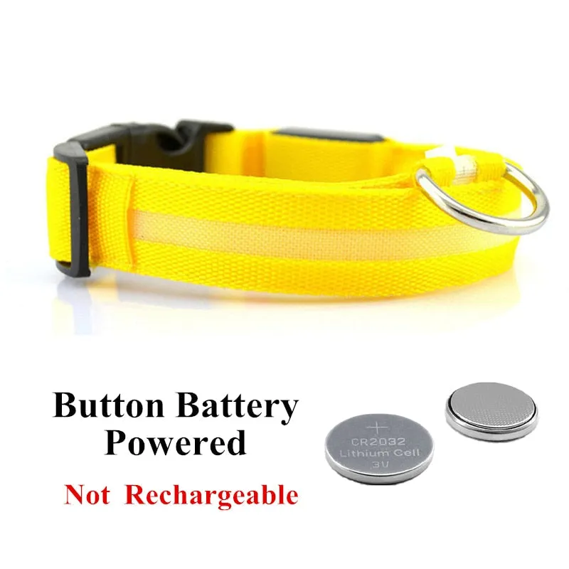 Luminous LED Pet Collar