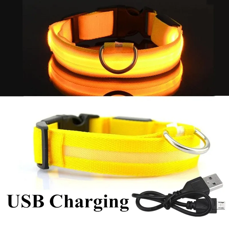 Luminous LED Pet Collar