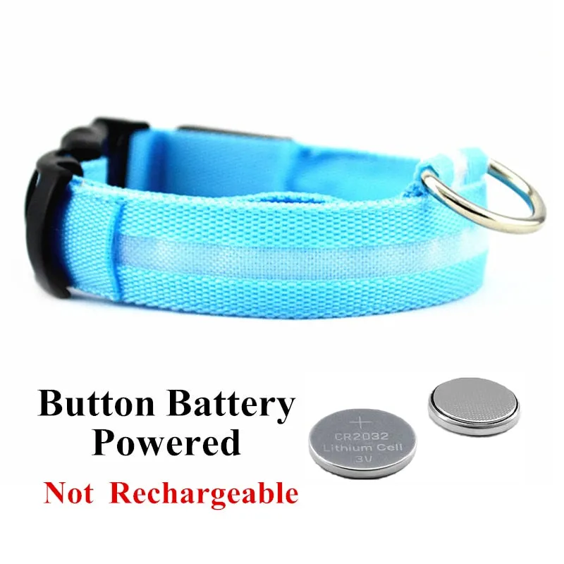 Luminous LED Pet Collar