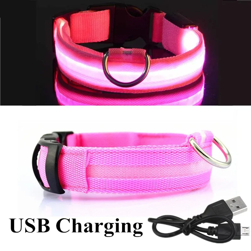 Luminous LED Pet Collar