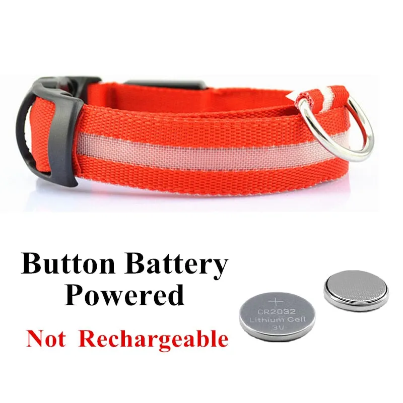 Luminous LED Pet Collar