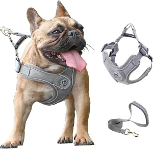 Medium Dog Harness and Leash Set,No Pull Adjustable Step in Soft Mesh Vest Harness,Easy Walk Reflective Pet Harness with Padded Handle for Walking Training Small Medium Large Dogs and Cats (Grey, M)