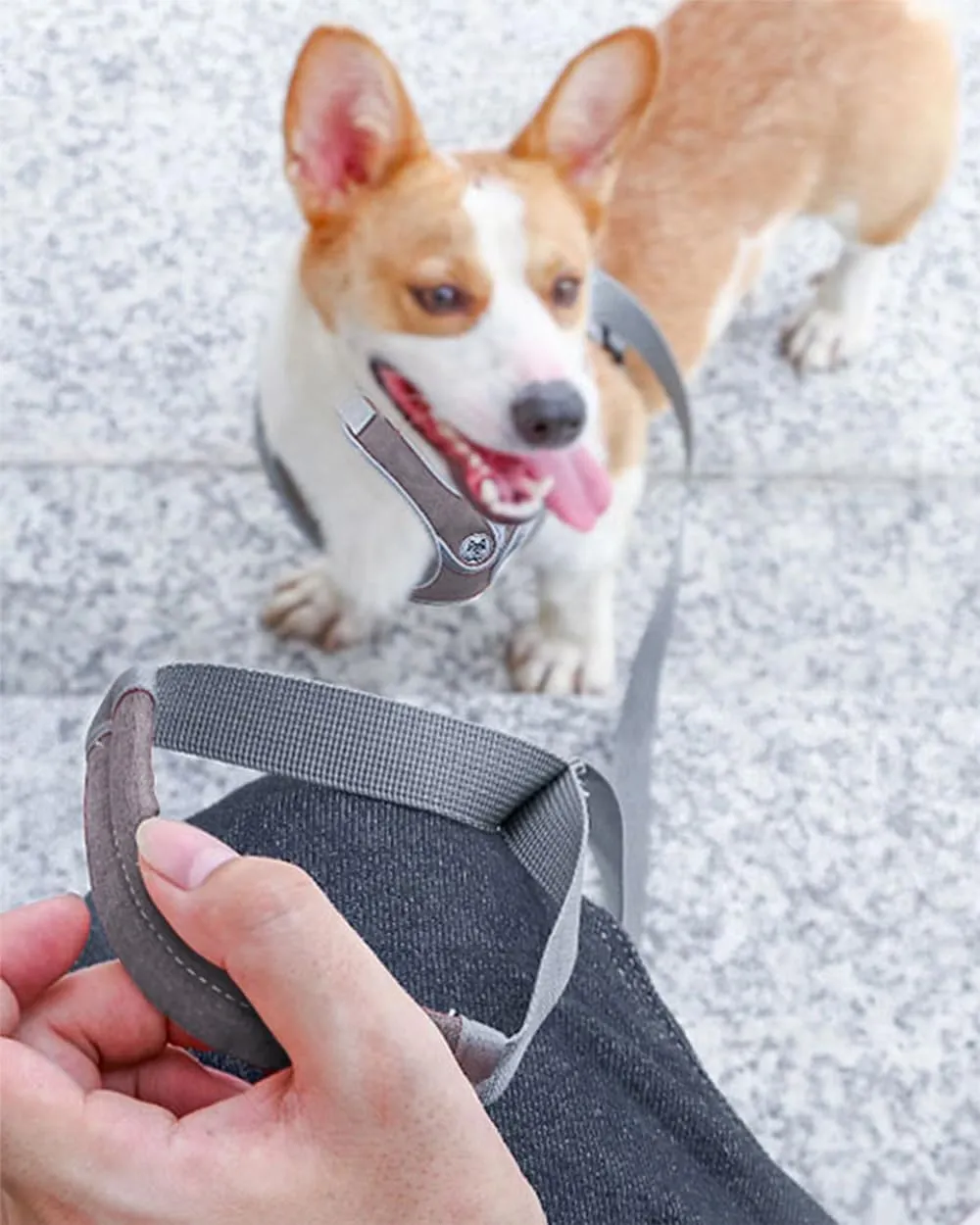 Medium Dog Harness and Leash Set,No Pull Adjustable Step in Soft Mesh Vest Harness,Easy Walk Reflective Pet Harness with Padded Handle for Walking Training Small Medium Large Dogs and Cats (Grey, M)
