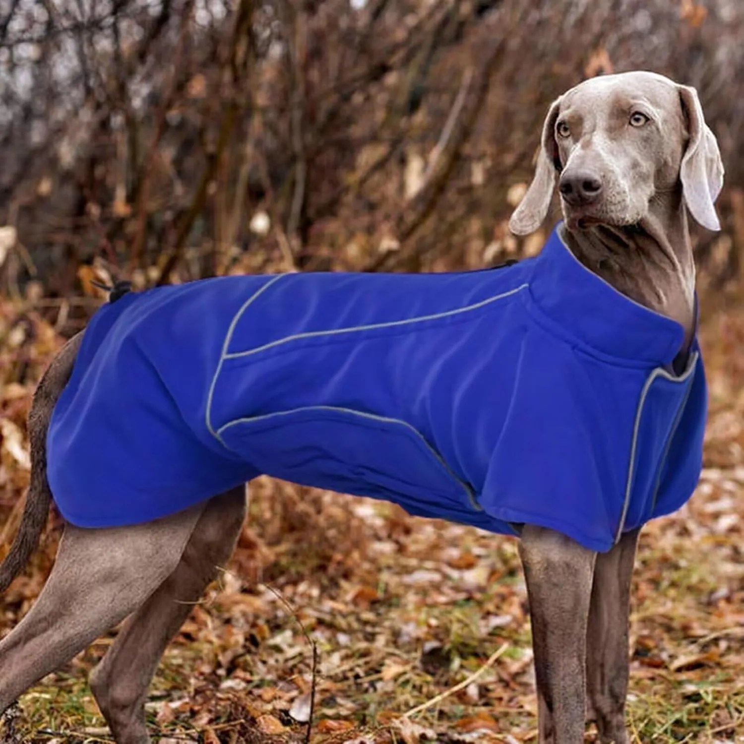 MIGOHI Waterproof XL Dog Jacket, Reflective Coat, Snowsuit for Large Dogs, Hiking Camping Snow Clothes for Boys Girls, Beagle, Bulldog, Blue