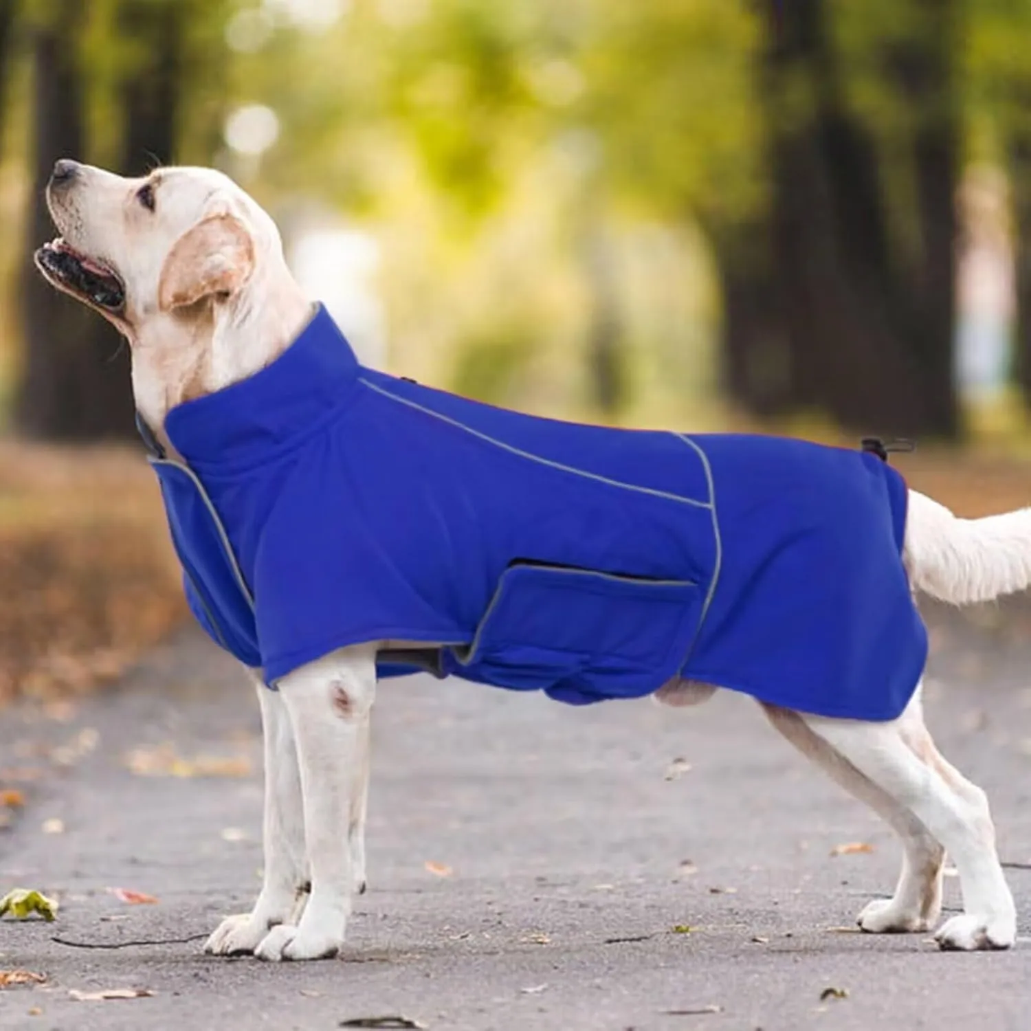 MIGOHI Waterproof XL Dog Jacket, Reflective Coat, Snowsuit for Large Dogs, Hiking Camping Snow Clothes for Boys Girls, Beagle, Bulldog, Blue