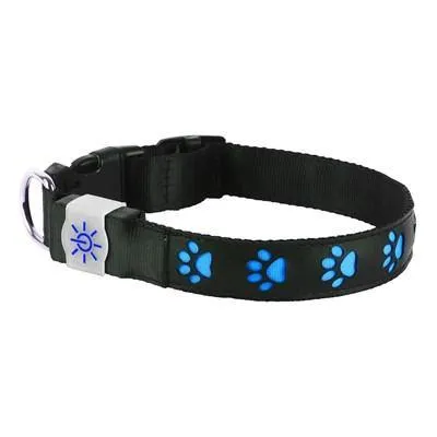 Night Scout Illuminating USB Rechargeable Dog Collar