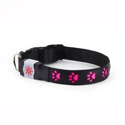 Night Scout Illuminating USB Rechargeable Dog Collar