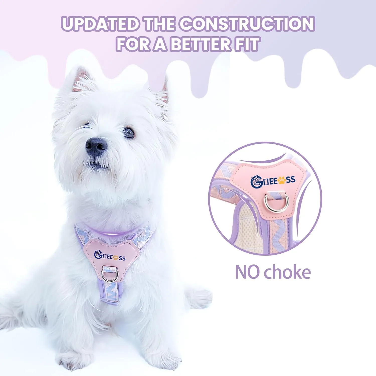 No Pull Dog Harness and Leash Set, Lightweight Frame No Choke Pet Harness, Double Buckle Adjustable Dog Vest for Small Medium Dogs Puppy (Black, S)