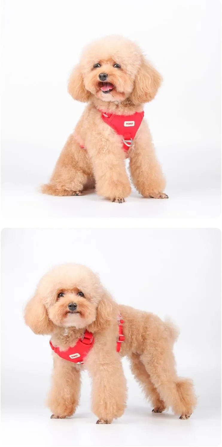 No Pull Dog Harness for Small Medium Dogs, Puppy Harness & Anti-Twist Leash Set, Adjustable & Padded, Puppy Harness with 2 Ultra-Light Aluminum Alloy Leash Clips (Red, Medium)
