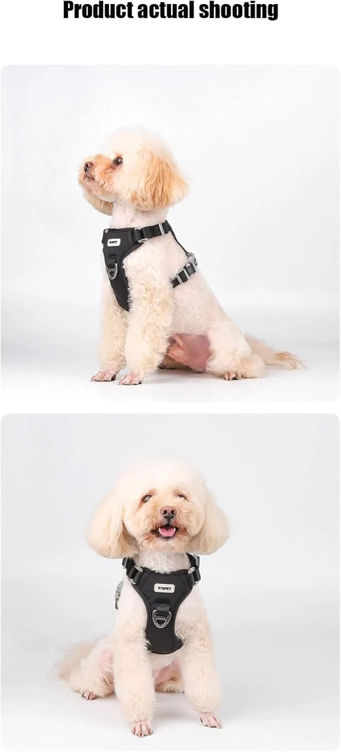 No Pull Dog Harness for Small Medium Dogs, Puppy Harness & Anti-Twist Leash Set, Adjustable & Padded, Puppy Harness with 2 Ultra-Light Aluminum Alloy Leash Clips (Red, Medium)
