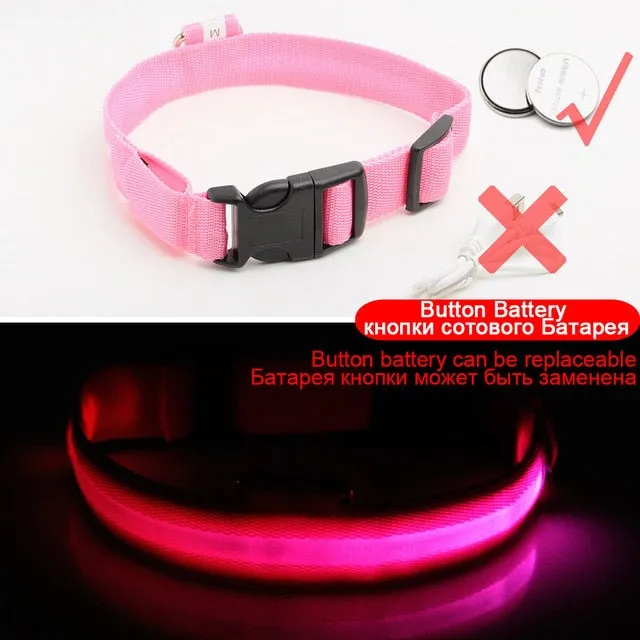 Nylon LED Pet Dog Collar Night