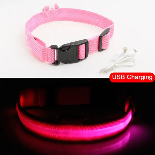 Nylon LED Pet Dog Collar Night