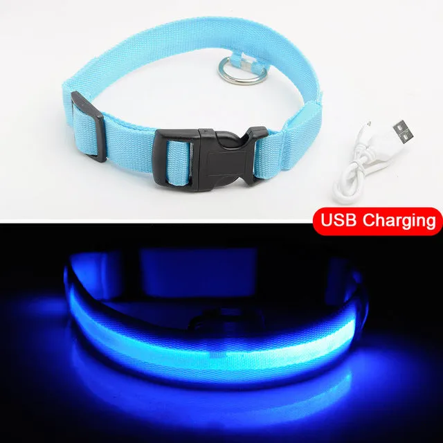 Nylon LED Pet Dog Collar Night