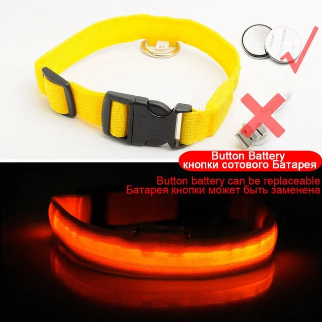 Nylon LED Pet Dog Collar Night