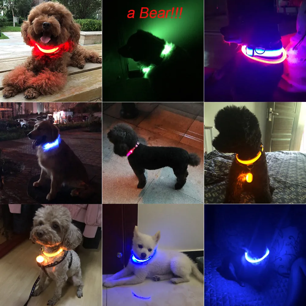 Nylon LED Pet Dog Collar Night