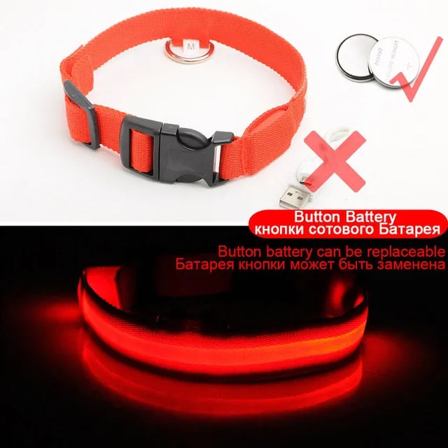 Nylon LED Pet Dog Collar Night