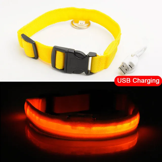 Nylon LED Pet Dog Collar Night
